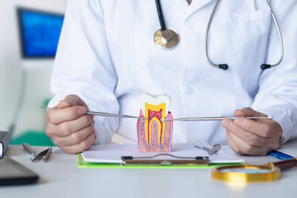 Best Pediatric Emergency Dentist in Decatur, AL